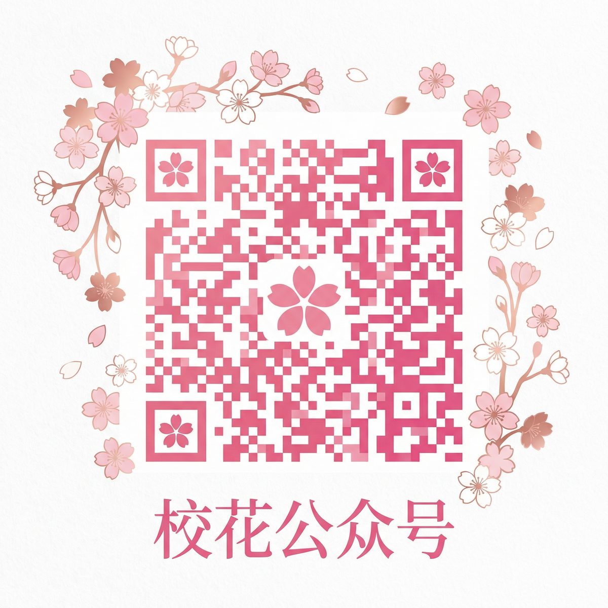 www.麻豆视频公众号二维码
